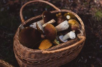 This Culture Mourns Their Lost Loved Ones With A Unique Burial Process. This Culture Mourns Their Lost Loved Ones With A Unique Burial Process.